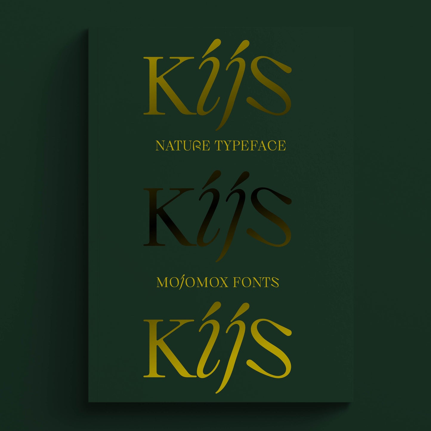 Bauhaus Kijs—Nature serif font for elegant designs, calligraphy style